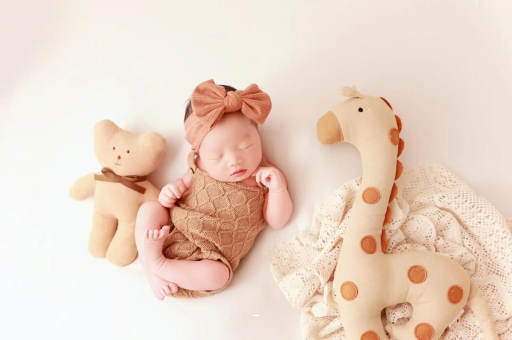 句容宝宝虾的做法